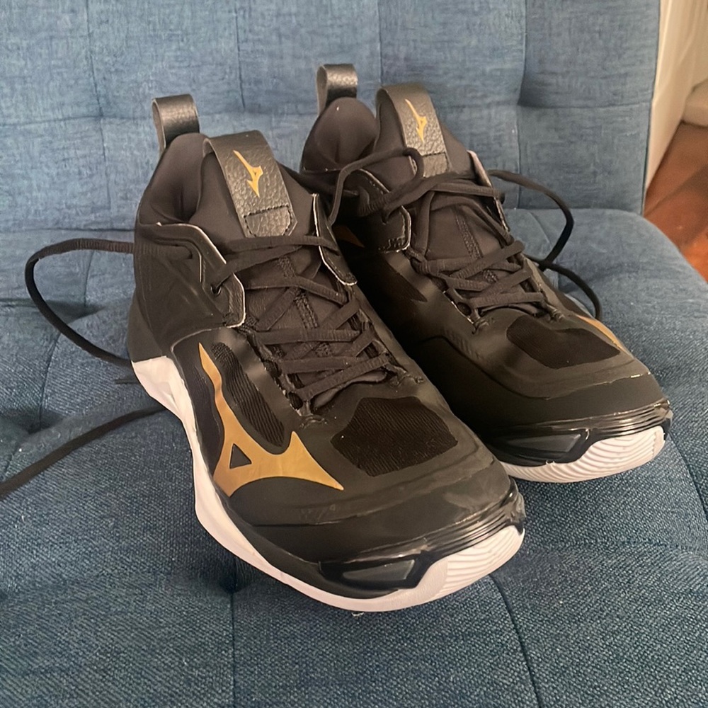 Mizuno Wave Momentum 2 Volleyball Shoes